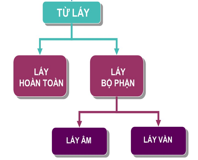 cau tao tu lay