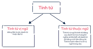 tinh-tu-la-gi