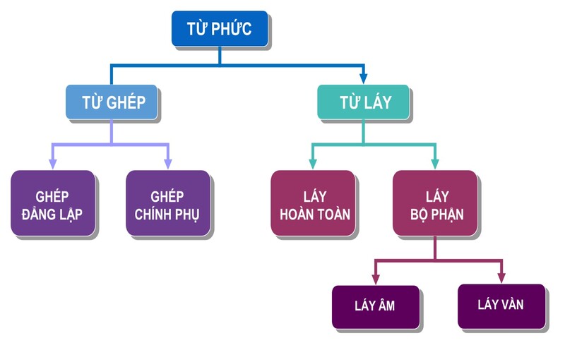 tu ghep tu phuc