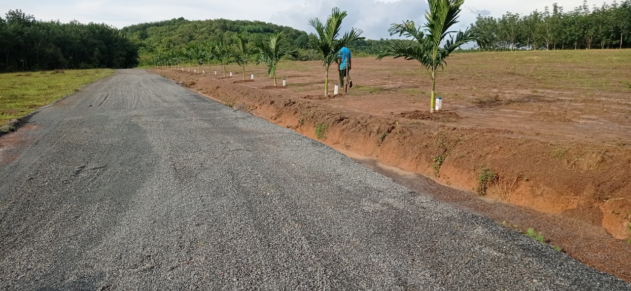 BÁN ĐẤT TRỌN GIÁ 700 TR/2.578M CÓ 100M THỔ CƯ