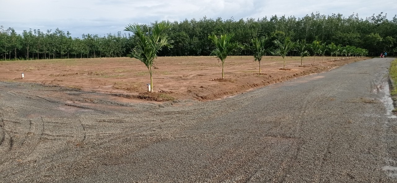 BÁN GẤP ĐẤT NỀN GIÁ RẺ BÌNH PHƯỚC