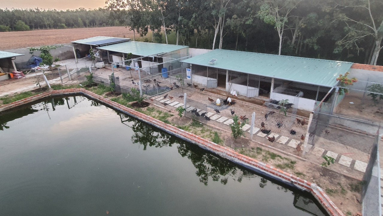 BÁN NHÀ TRANG TRẠI NGHĨ DƯỠNG SINH THÁI BÀU BÀNG