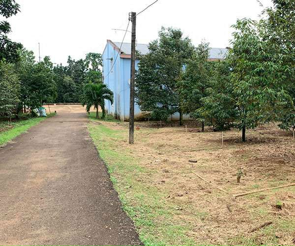 ĐẤT NỀN GIÁ RẺ TÂY NINH
