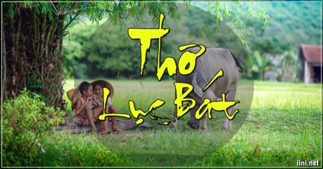 LÝ THUYẾT THƠ LỤC BÁT VÀ LỤC BÁT BIẾN THỂ