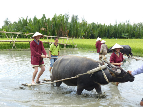 TẬP THƠ CHỦ ĐỀ TỤC THANH- CHUYỆN NHỎ