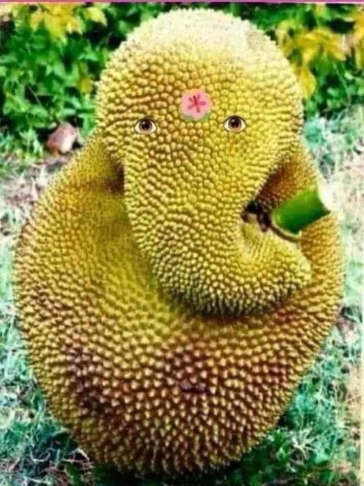 TẬP THƠ CHỦ ĐỀ TỤC THANH- MÍT VOI