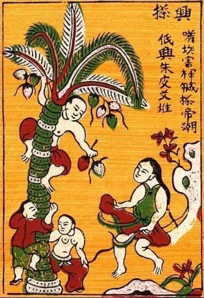 TẬP THƠ ĐƯỜNG LUẬT - HÁI DỪA