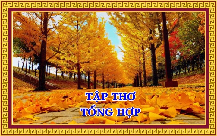 TẬP THƠ TỔNG HỢP