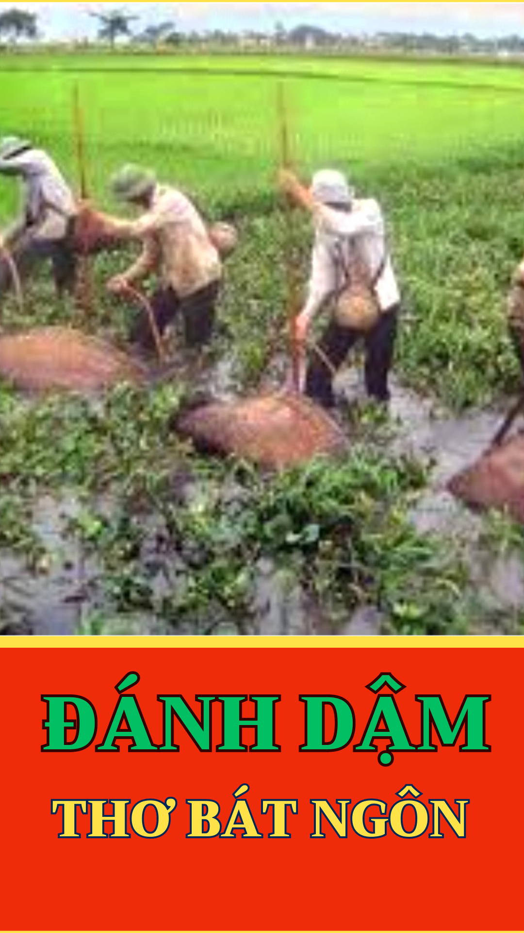 TẬP THƠ TỰ DO BẢY CHỮ - ĐÁNH DẬM