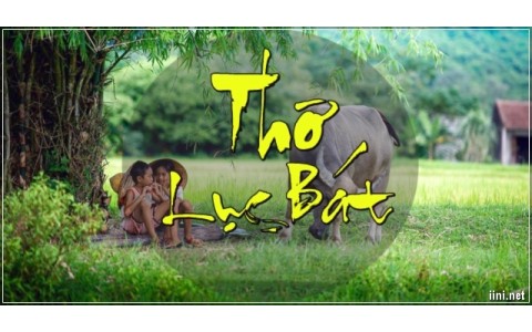 LÝ THUYẾT THƠ LỤC BÁT VÀ LỤC BÁT BIẾN THỂ
