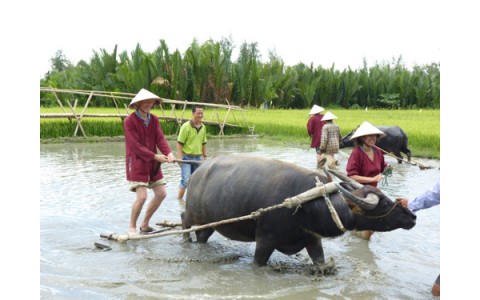 TẬP THƠ CHỦ ĐỀ TỤC THANH- CHUYỆN NHỎ