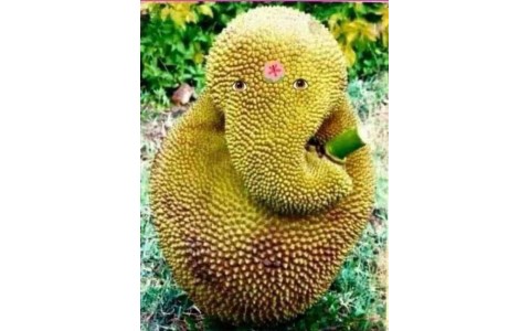 TẬP THƠ CHỦ ĐỀ TỤC THANH- MÍT VOI