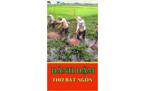 TẬP THƠ TỰ DO BẢY CHỮ - ĐÁNH DẬM